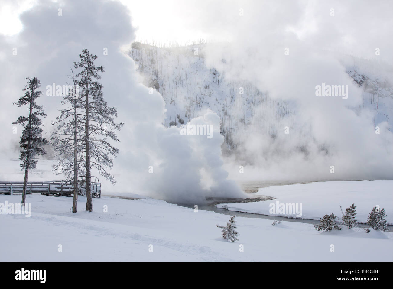 Cliff geyser che erutta in inverno, sabbia nera bacino, il Parco Nazionale di Yellowstone Foto Stock