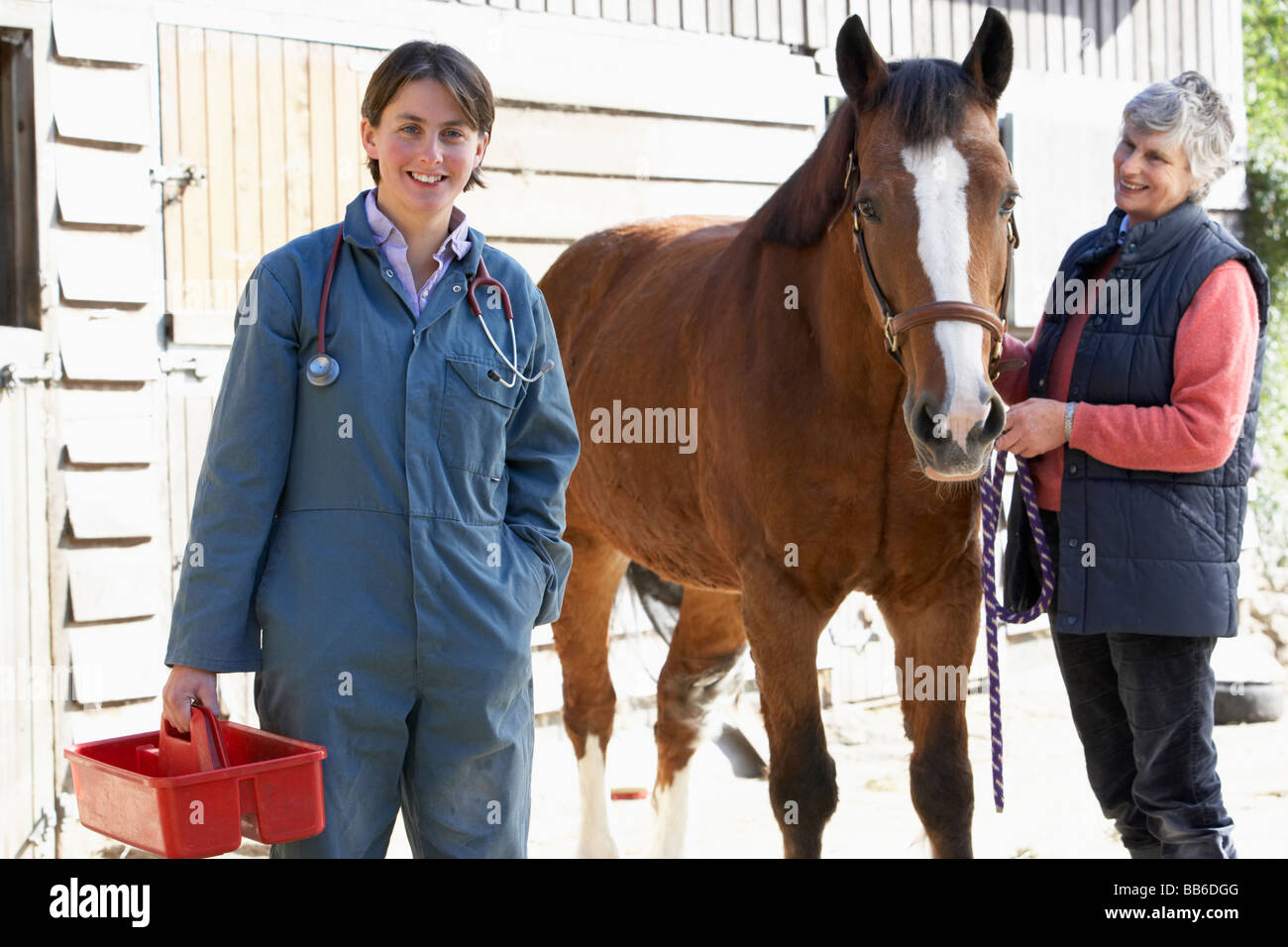 Vet in discussione con il proprietario del cavallo Foto Stock