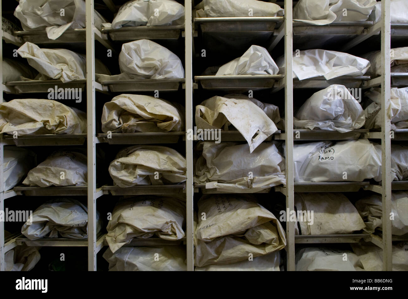 Resti di corpi umani imballate in una sezione della camera mortuaria refrigerata.di ICMP commissione delle persone scomparse nella città di Lukavac, Bosnia Foto Stock