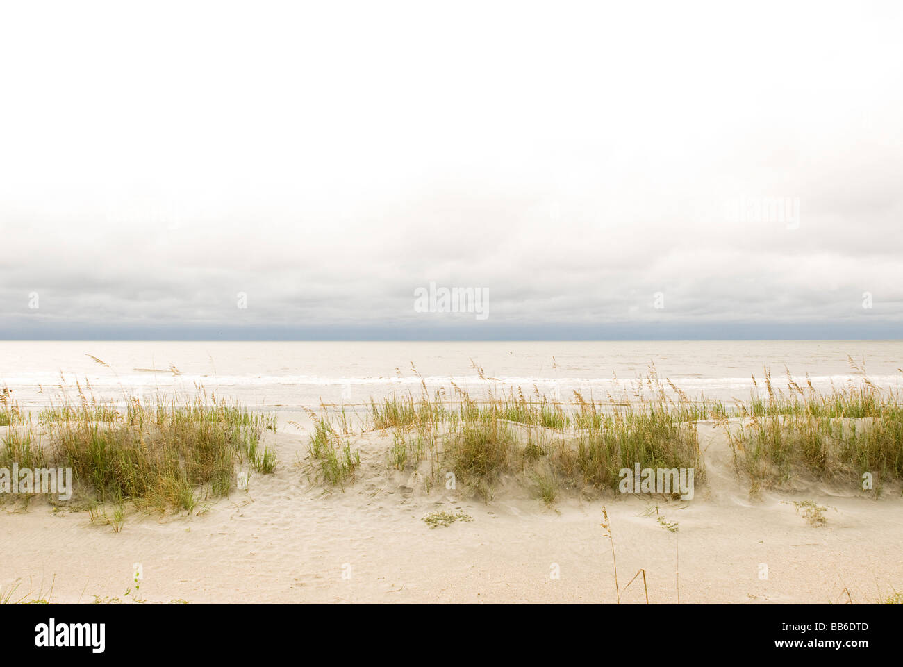 Beach Dunes in Carolina del Sud Foto Stock
