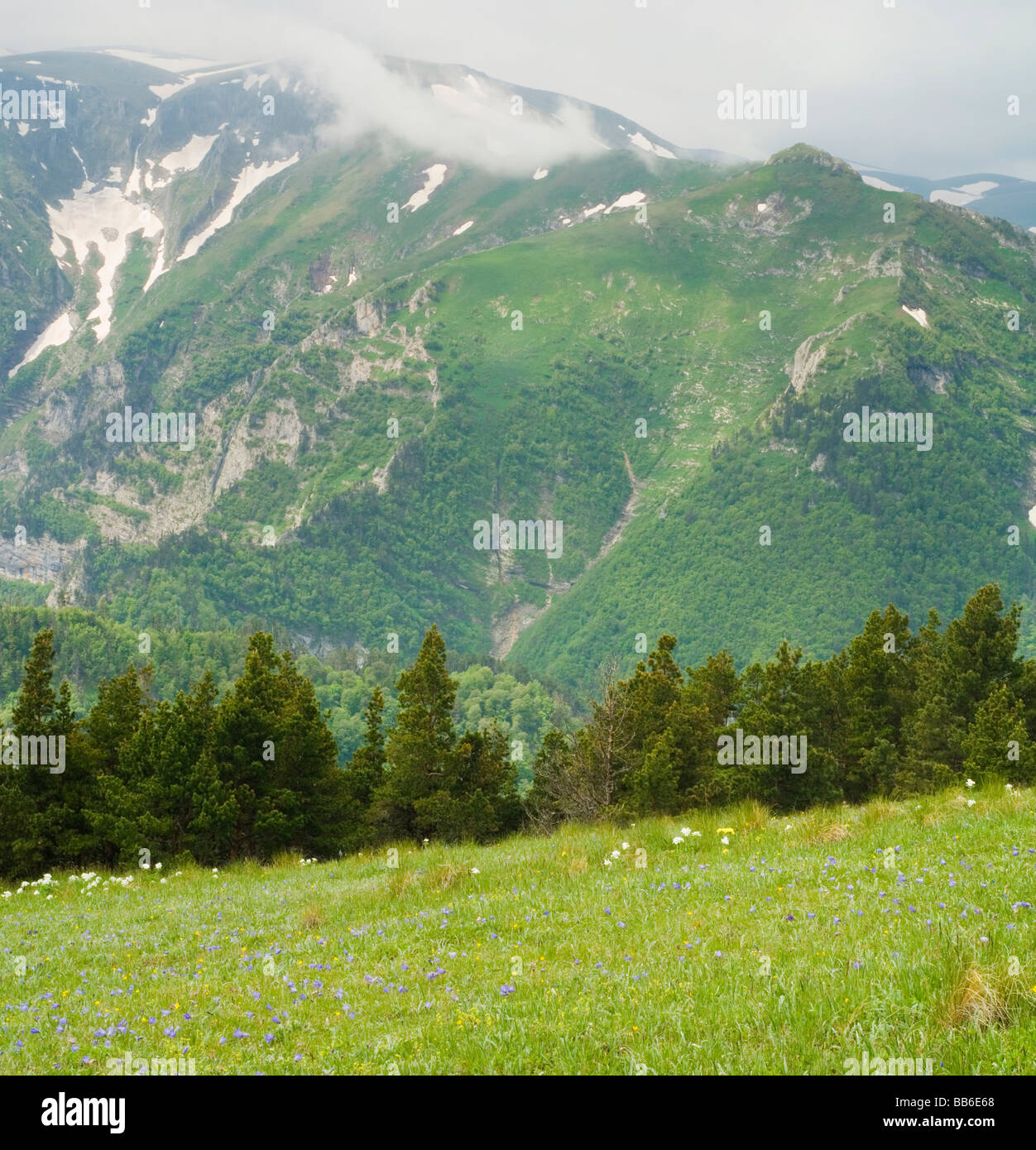 Montagne del Caucaso. Panoramica del paesaggio di montagna. Foto Stock