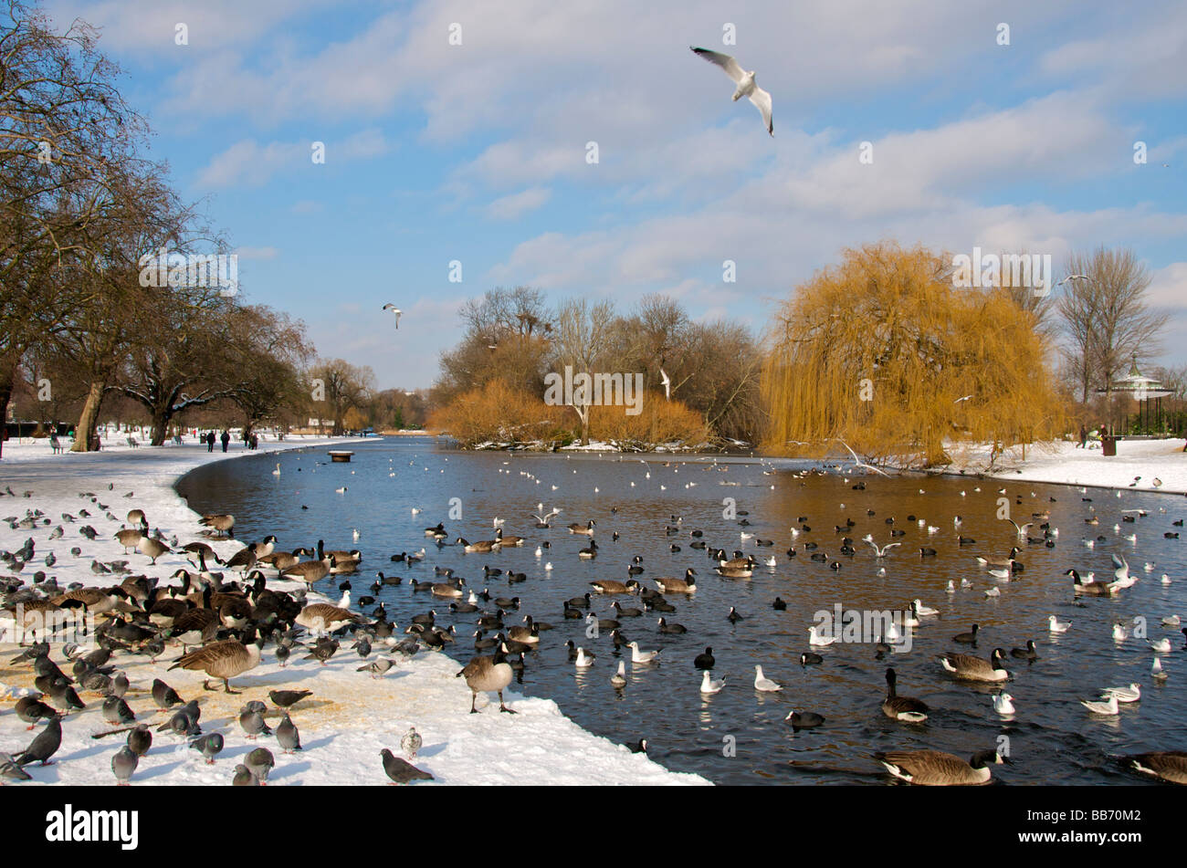 In barca il lago di Regents Park in inverno Londra Inghilterra REGNO UNITO Foto Stock