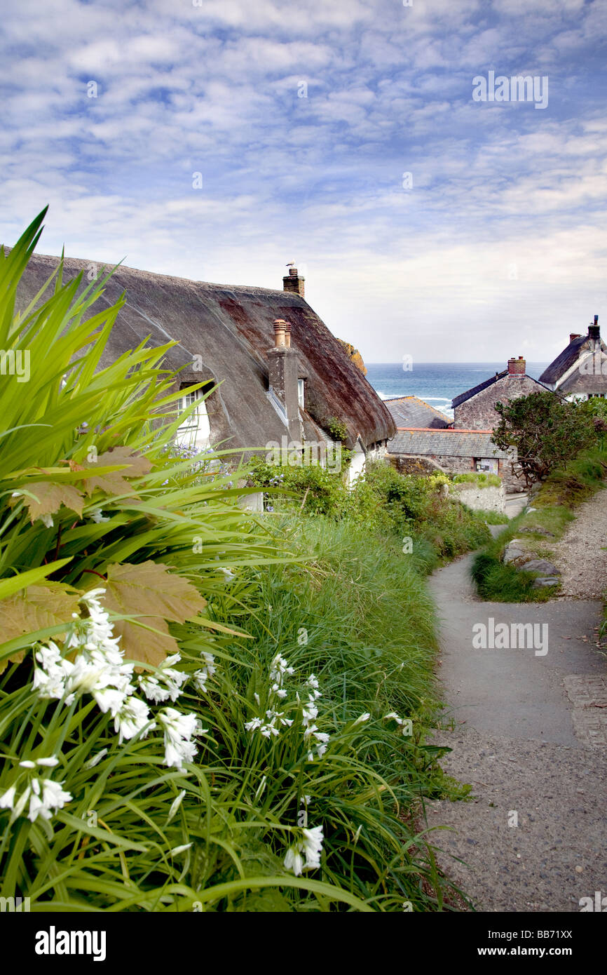 Cadgwith Cove è un pittoresco villaggio di pescatori di cottage con il tetto di paglia in Cornovaglia la penisola di Lizard. Foto Stock