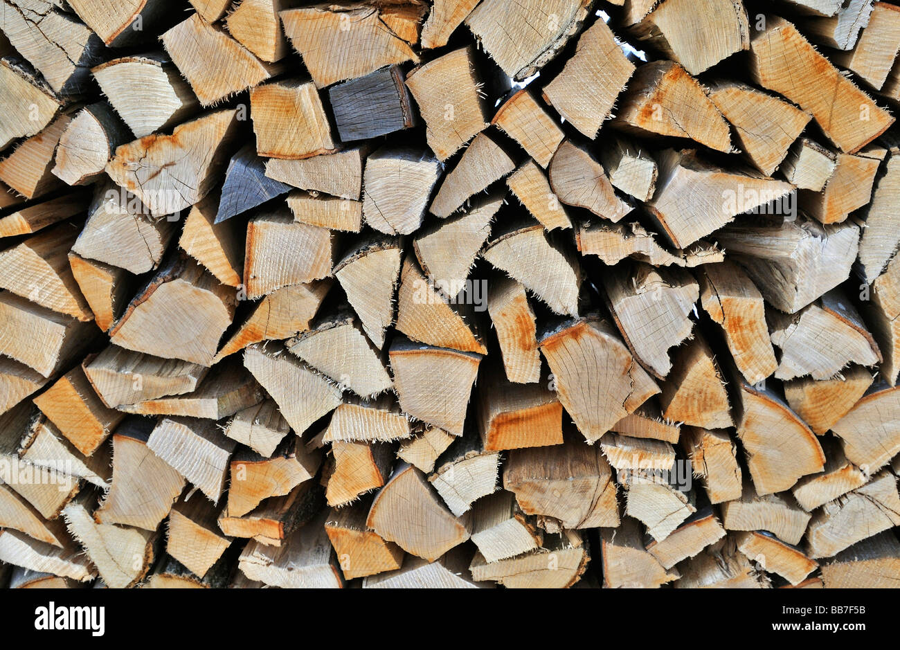 Ammassati in legno di faggio Foto Stock