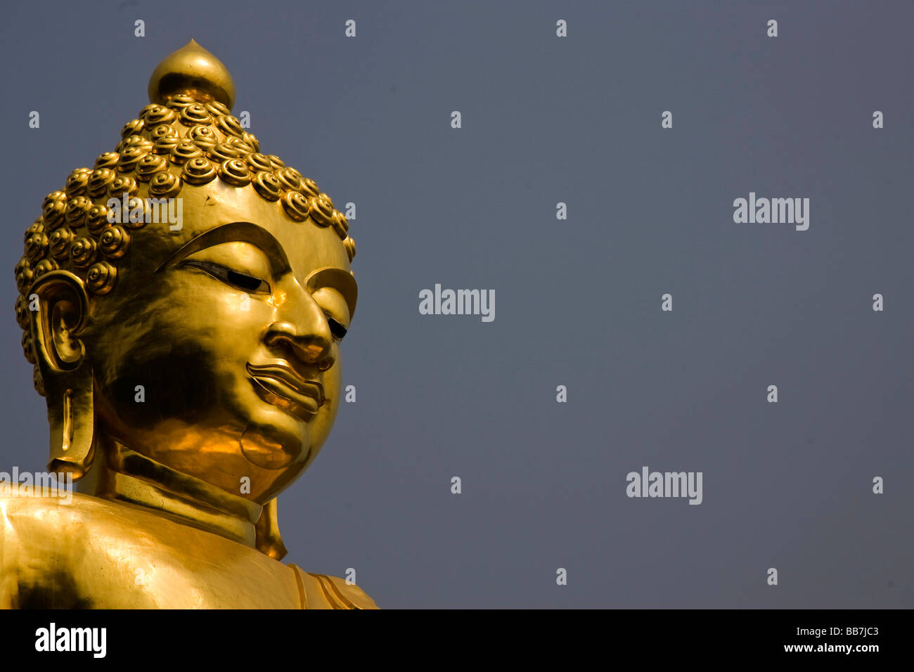 Budda dorati, Sop Ruak, Thailandia del Nord Asia Foto Stock
