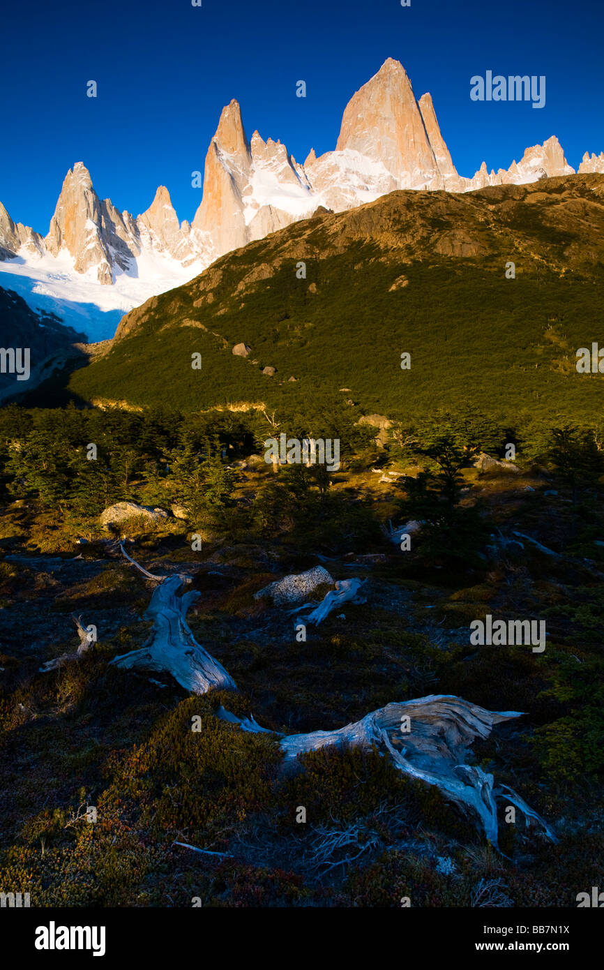La Patagonia Argentina parco nazionale Los Glaciares. La luce del mattino sulle colline della gamma Fitz Roy dal campeggio Poincenot Foto Stock