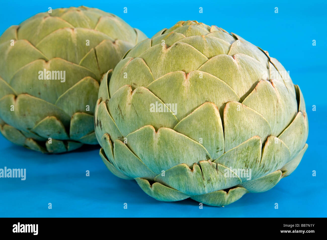 Jumbo carciofi verdure dal Messico Foto Stock
