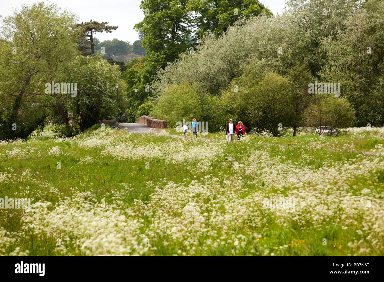 Inghilterra Berkshire Cookham Moor percorso attraverso pubblico spazio aperto Foto Stock