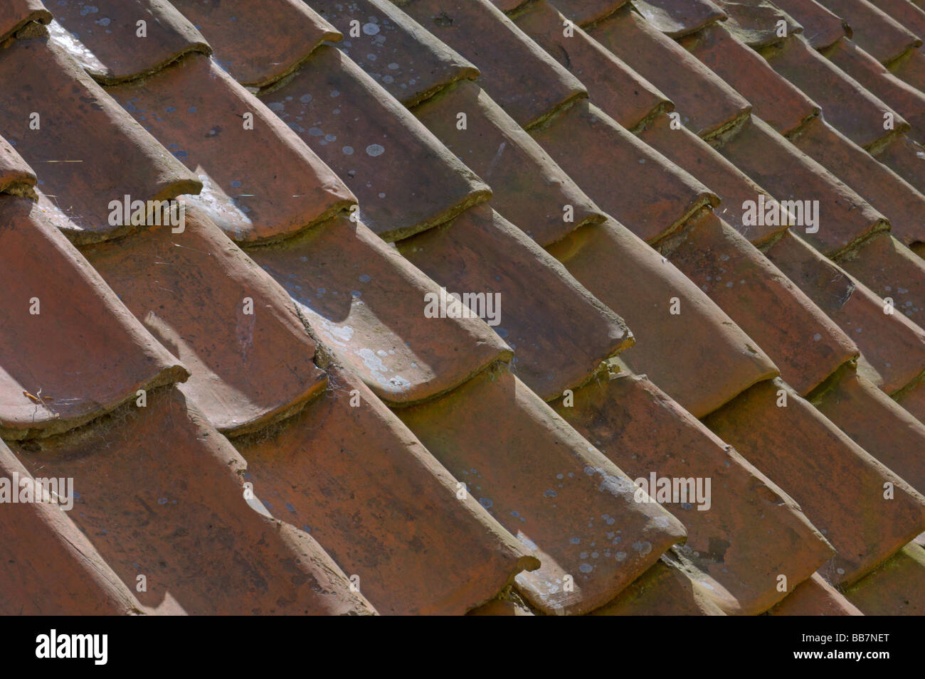 Tetto Pantiled Culross village vicino a Kincardine sulla via Fife Scozia Maggio 2008 Foto Stock