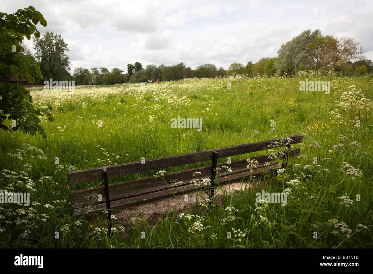 Inghilterra Berkshire Cookham Moor panchina del parco pubblico su uno spazio aperto Foto Stock