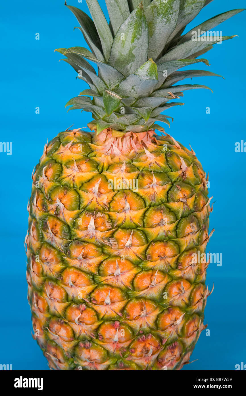 Succosa ananas frutta fresca da Hawaii Foto Stock