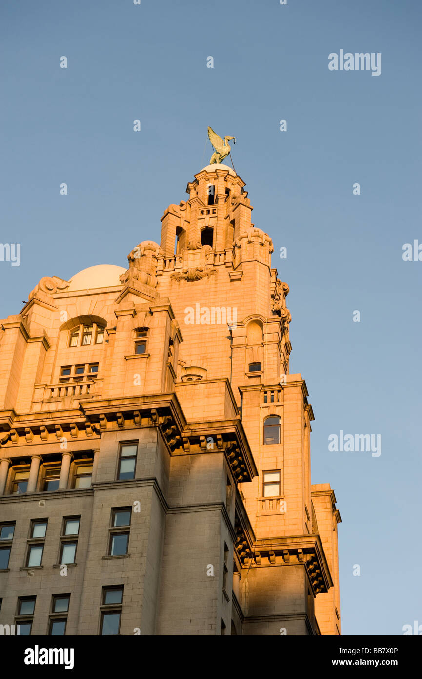Royal Liver edifici Liverpool Merseyside al tramonto Foto Stock