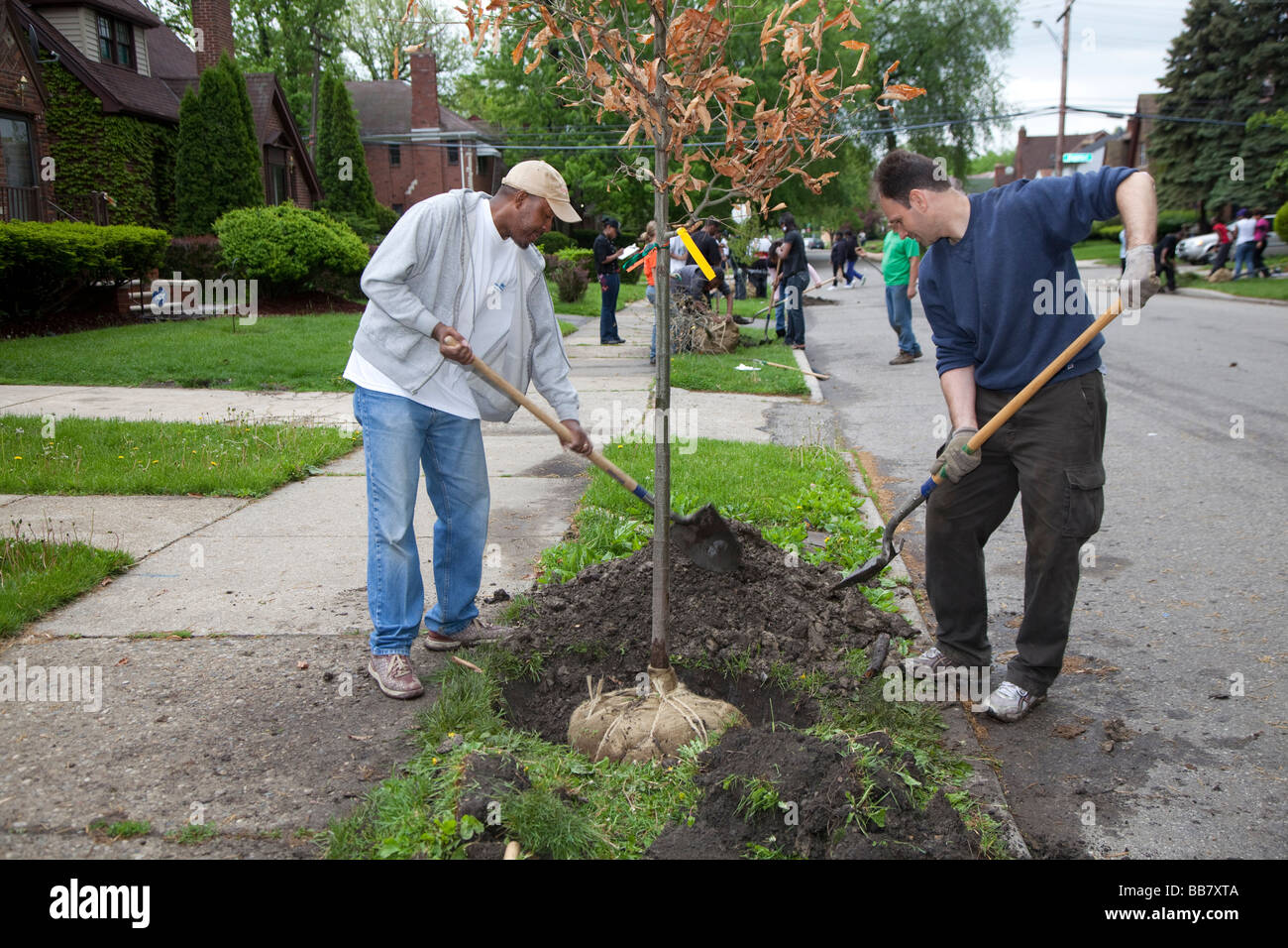 Volontari piantare alberi nel quartiere di Detroit Foto Stock