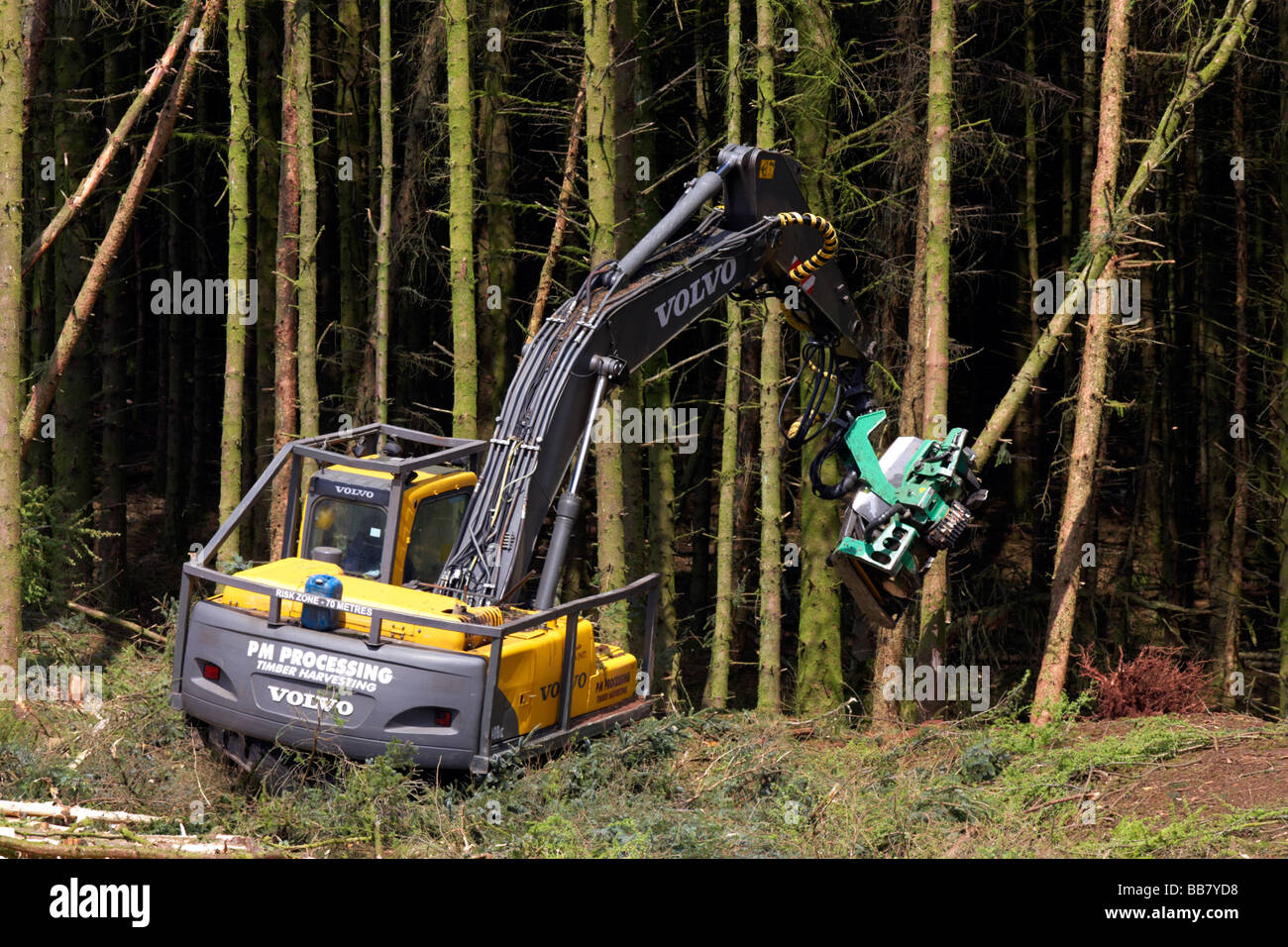 Meccanica fresa di scavo del retroescavatore del caricatore di legname raccolto da legno di conifera conifera sito nella regione settentrionale della contea di Antrim Irlanda del Nord Foto Stock