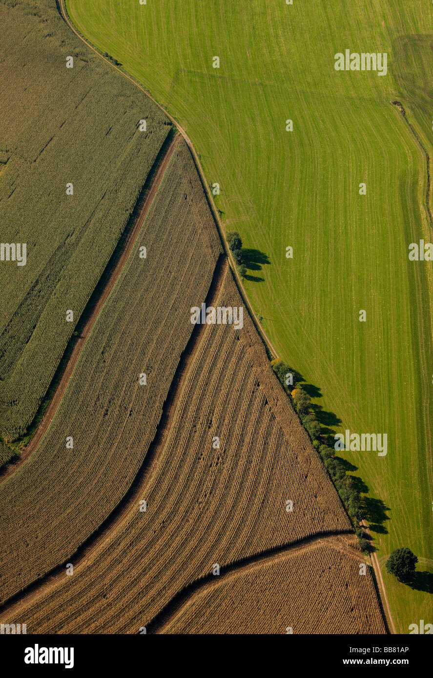 Foto aerea, country road, campi agricoltura, erpicò campo, acro, prato, Halver, Maerkischer Kreis, Sauerland, Nord Rhin Foto Stock
