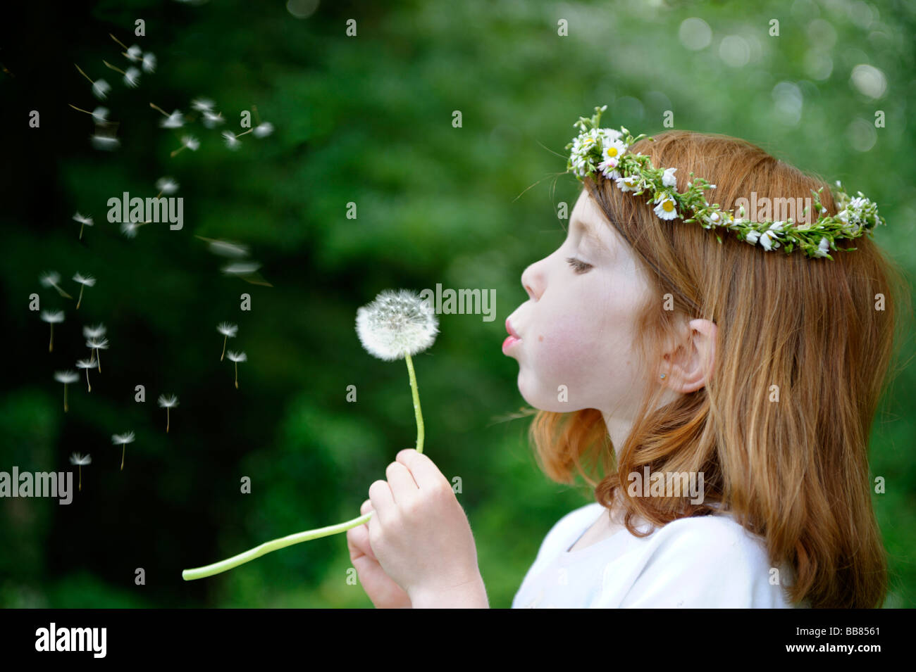 Giovane ragazza che indossa una corona di fiori nei suoi capelli soffia un orologio di dente di leone Foto Stock