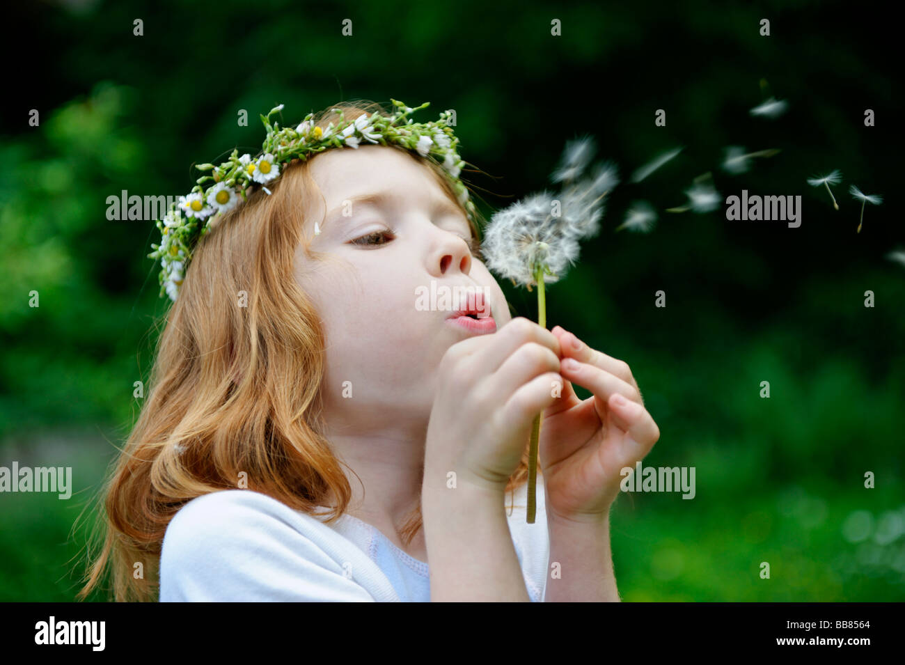 Giovane ragazza che indossa una corona di fiori nei suoi capelli soffia un orologio di dente di leone Foto Stock