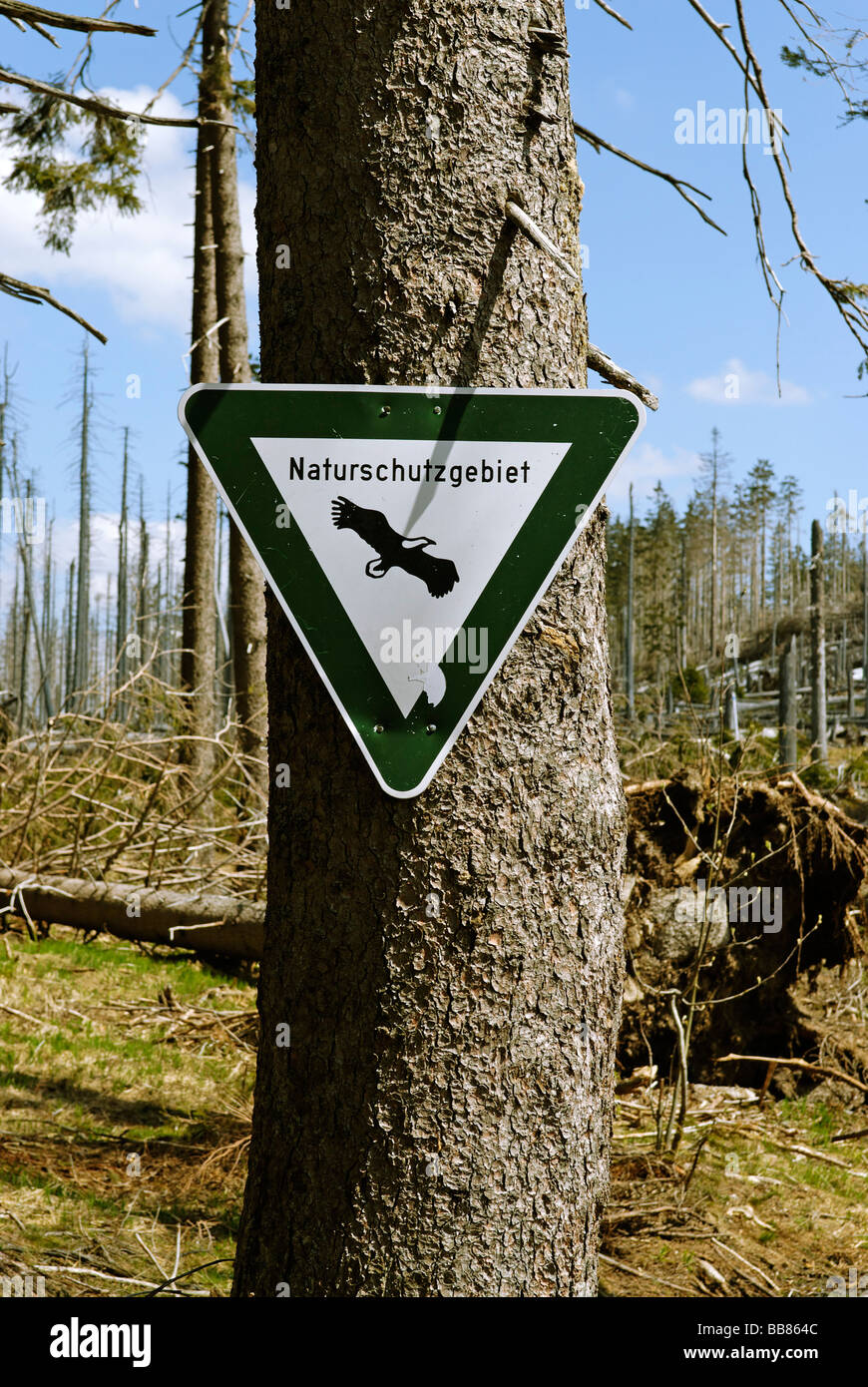 Segno Naturschutzgebiet, riserva naturale, Dreisessel, Foresta Bavarese, Bassa Baviera, Germania, Europa Foto Stock