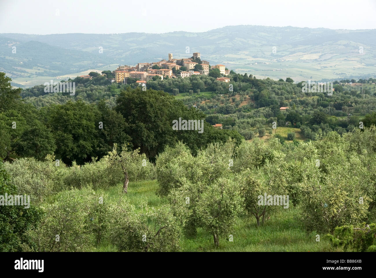 Vista panoramica della cittadina di Montemerano tra gli uliveti Foto Stock