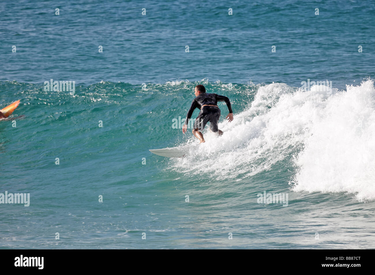 Surfer acquisisce un'onda per una corsa in riva tardo pomeriggio Foto Stock