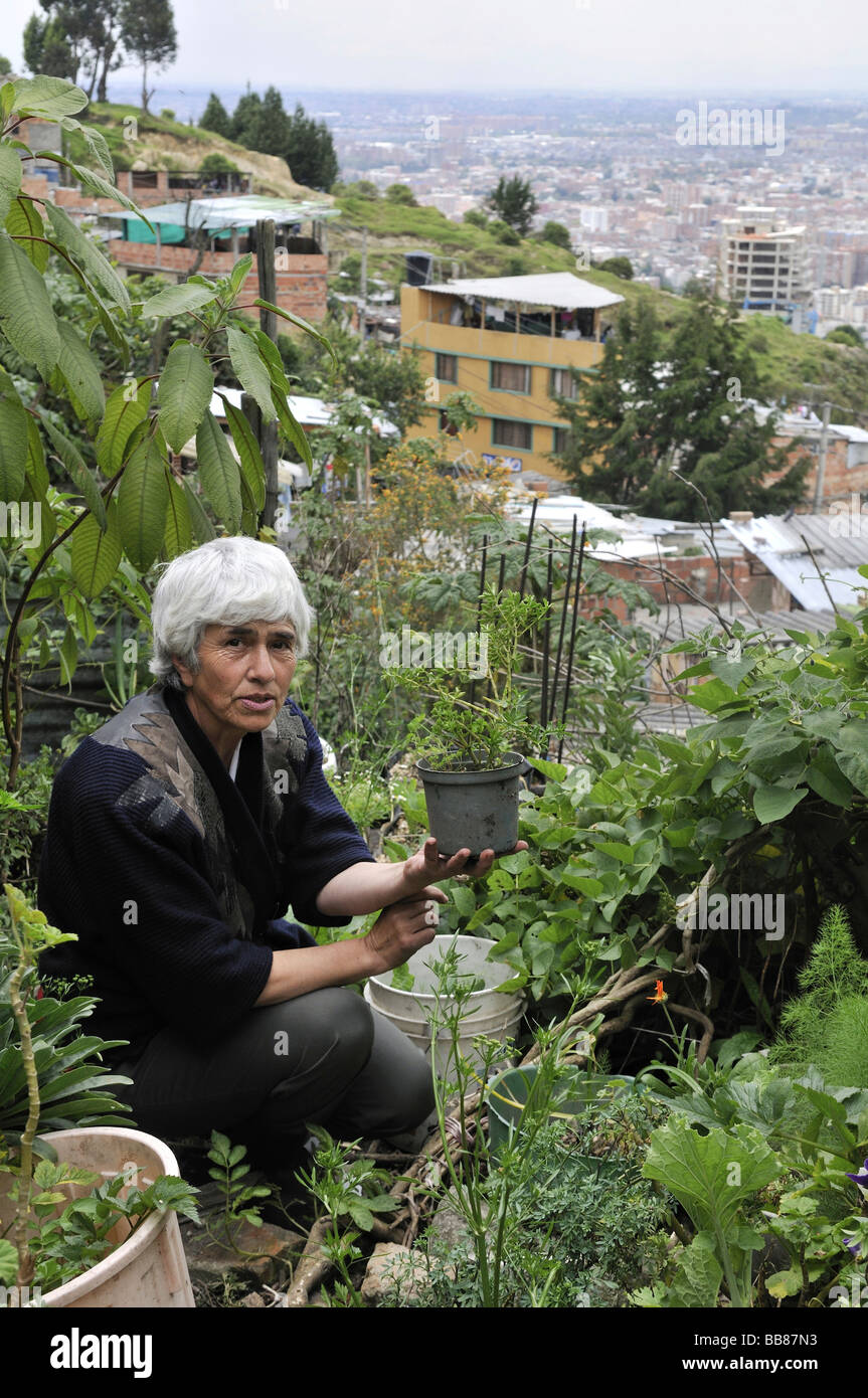 Donna anziana in un orto dietro la sua casa, urbane progetto agricolo, baraccopoli di Cerro Norte, Bogotá, Colombia Foto Stock