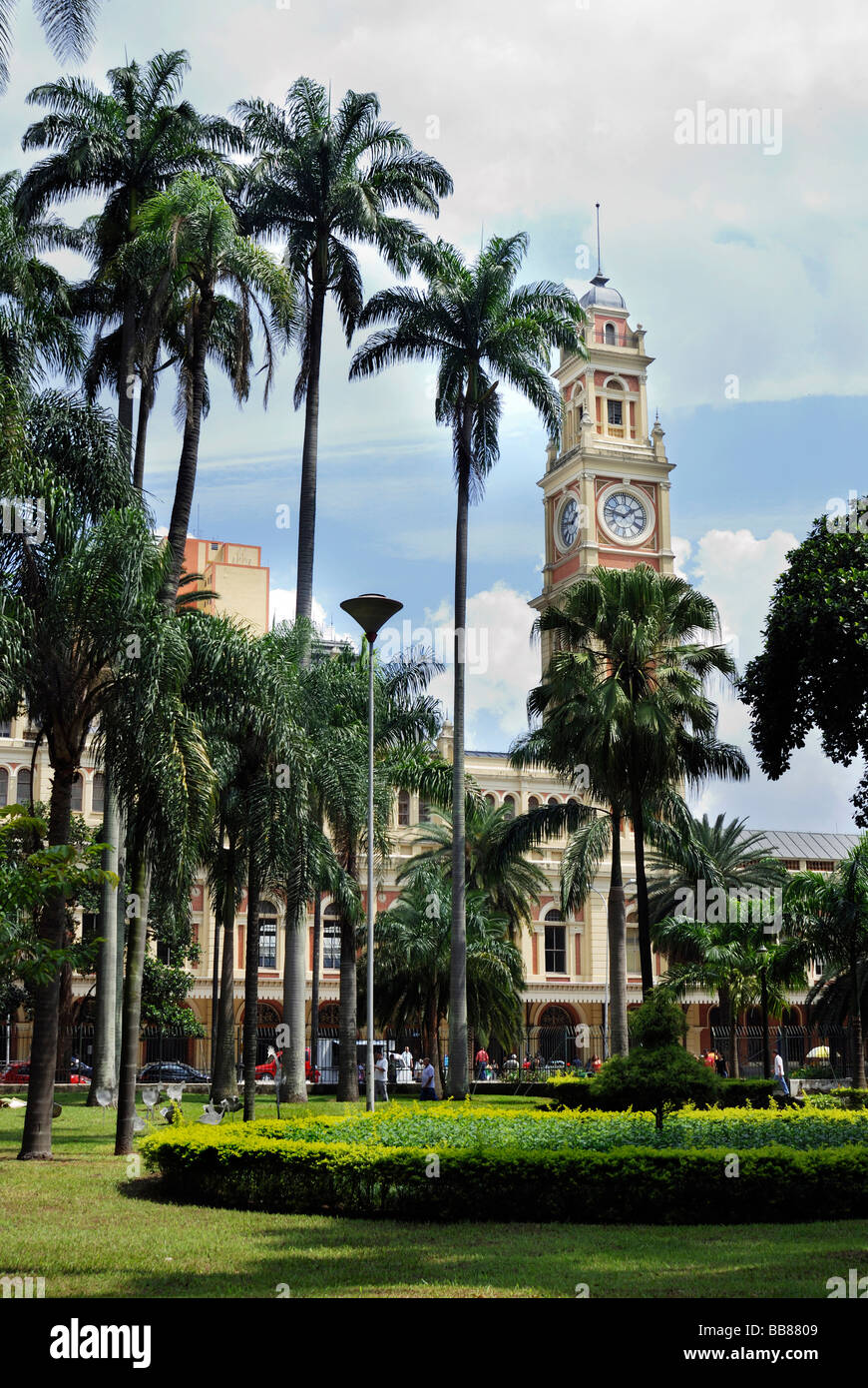 Parque da Luz park, con vista sulla torre dell'Estacao da Luz stazione ferroviaria, Sao Paulo, Brasile, Sud America Foto Stock