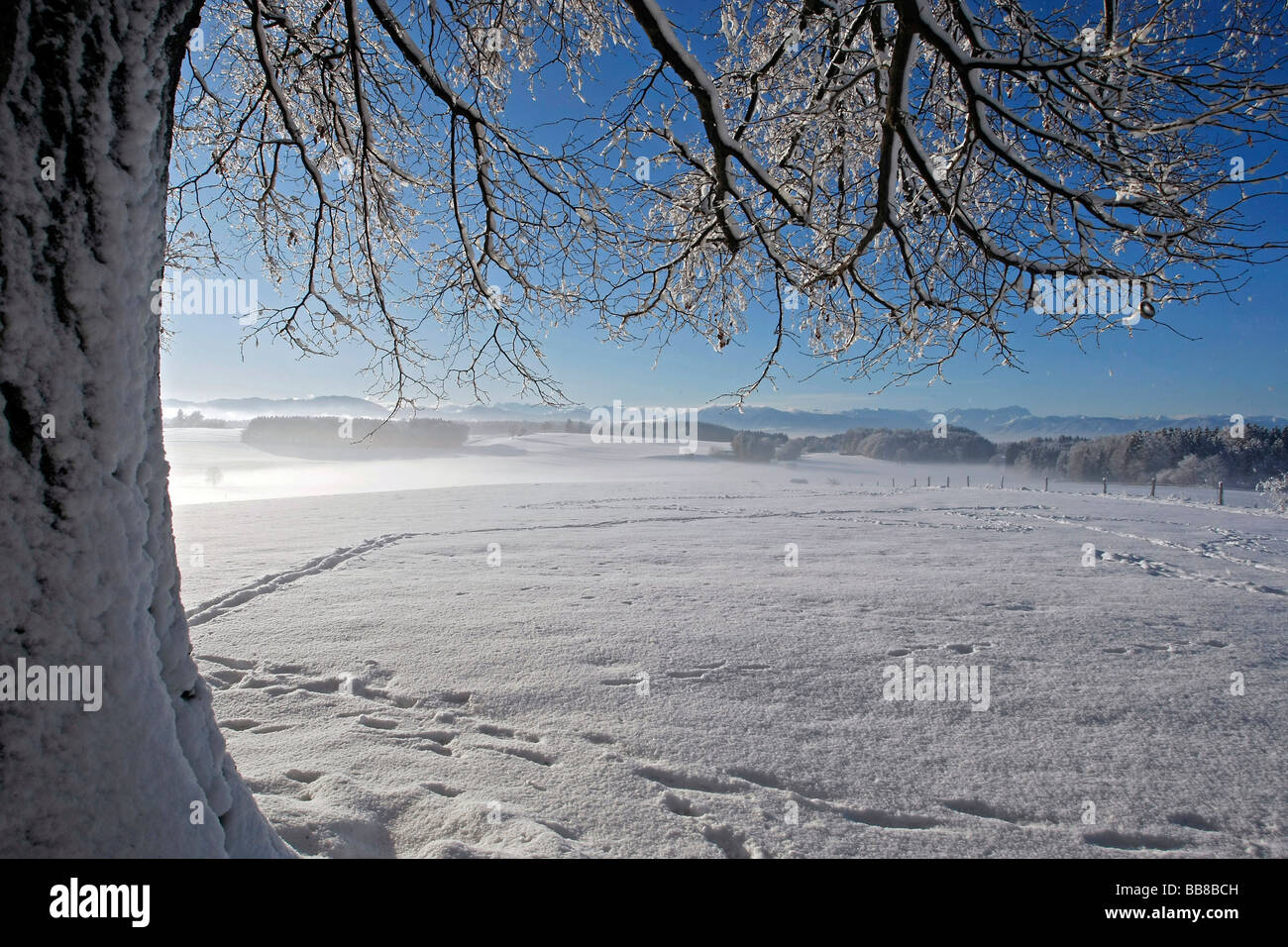 Vista della cappella Maria-Dank nella neve, Impressioni inverno, Degerndorf borough di Muensing, Baviera, Germania Foto Stock