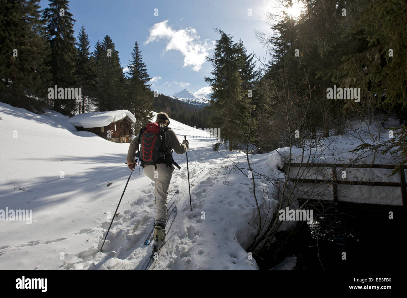 Donna su un tour di sci nei pressi di Valdurna, Durnholz, Val Sarentino, Alto Adige, Italia, Europa Foto Stock