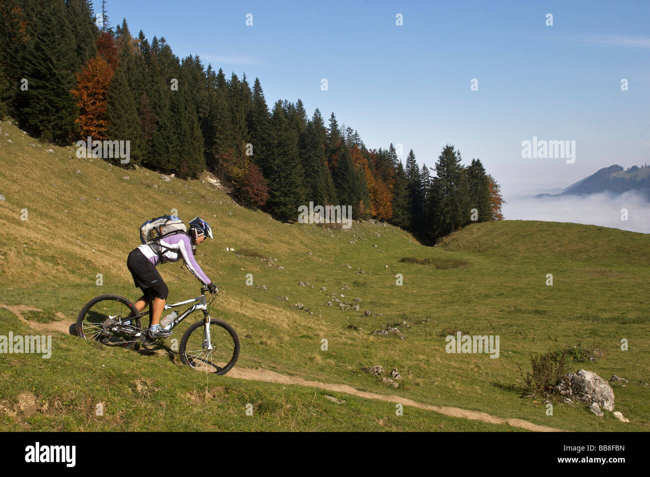Mountain bike, femmina, in autunno sul monte Heuberg vicino a Nussdorf am Inn, Baviera, Germania Foto Stock