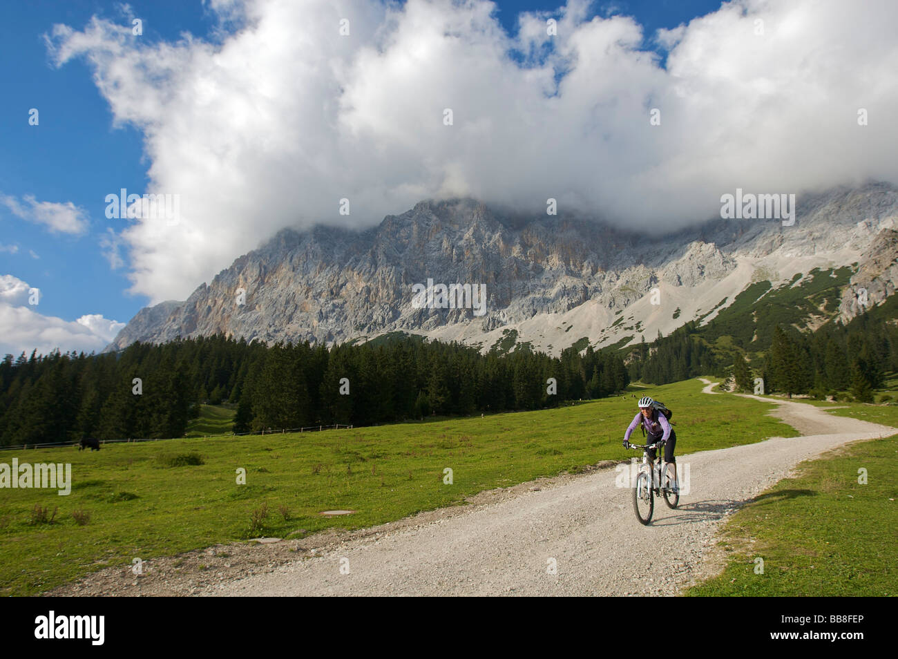 Donna alpinista vicino ai prati alpini di Ehrwalder Alm, Ehrwald, Tirolo, Austria, Europa Foto Stock