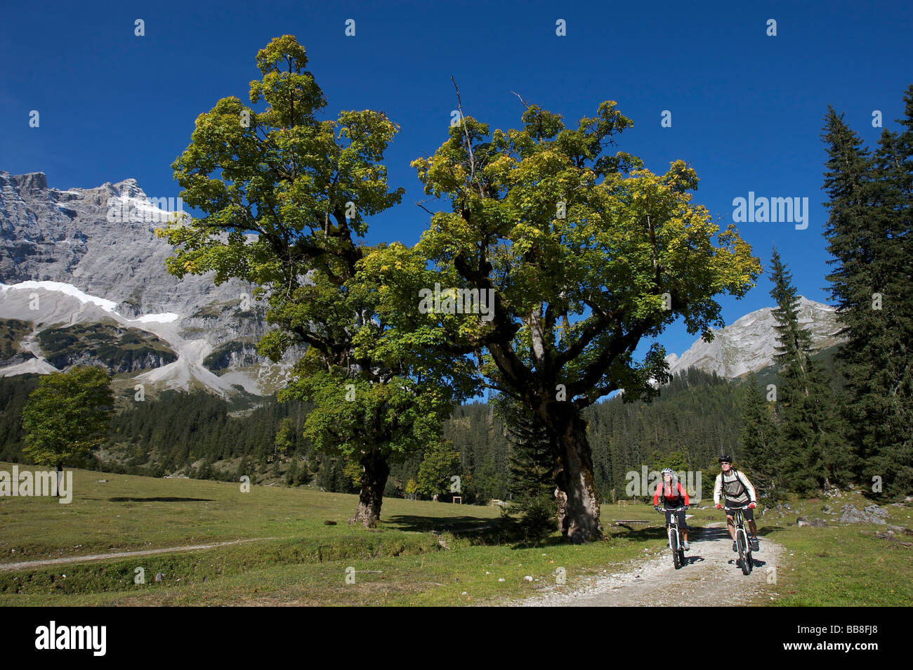 Alpinismo, distretto forestale Kleiner Ahornboden, Hinterriss, Tirolo, Austria, Europa Foto Stock