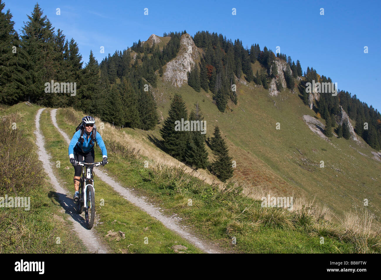 Montainbike rider, femmina, in autunno, sul monte Hochries, di fronte Karkopf Mountain, Chiemgau Alpi, Baviera, Germania Foto Stock