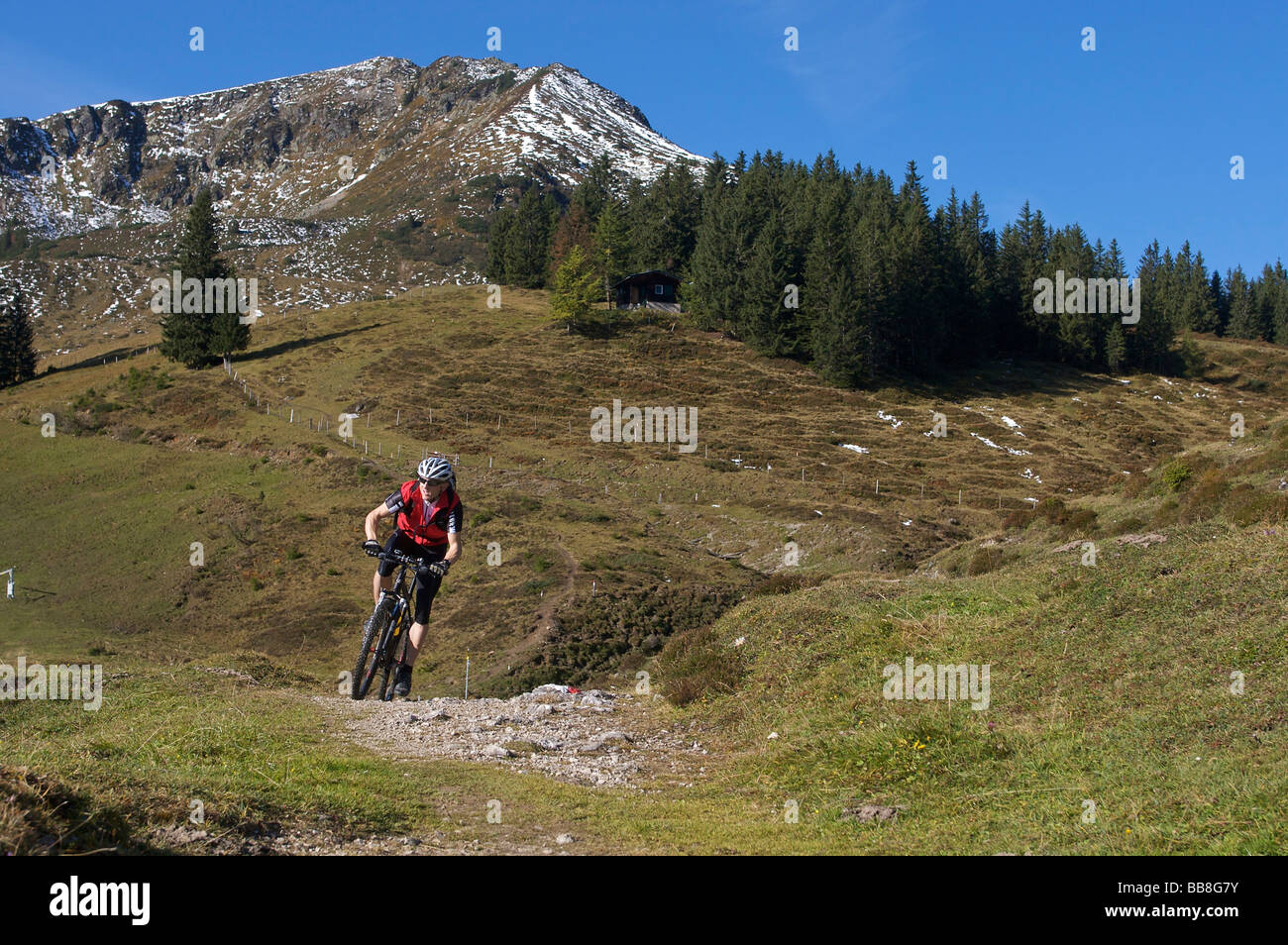 Mountain Biker a monte Gaisberg, Rettenbach, Tirolo, Austria Foto Stock