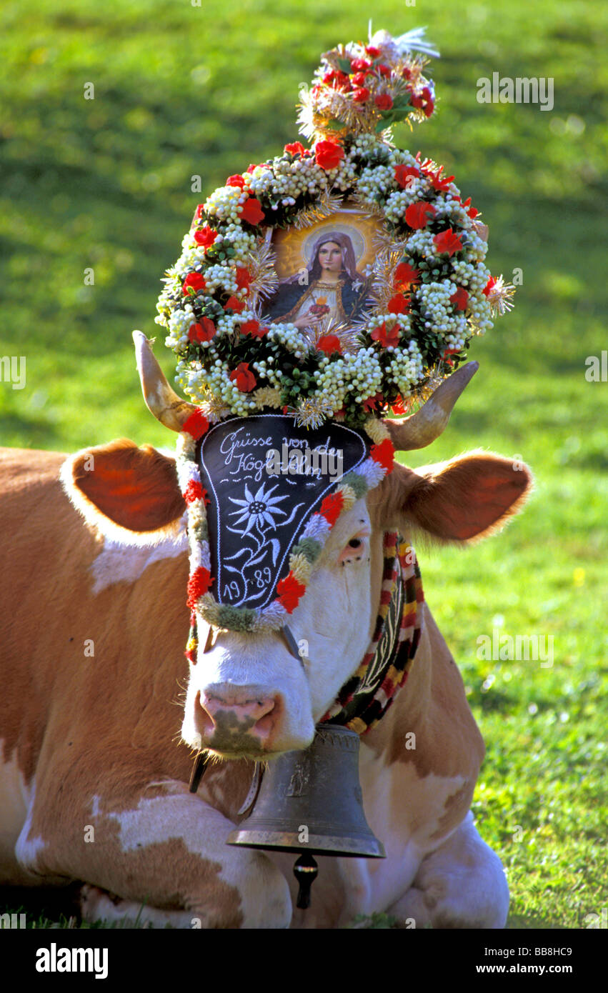 Una mucca decorato con immagini di cristiana che celebra il successo di un estate in montagna, Tirolo, Austria Foto Stock