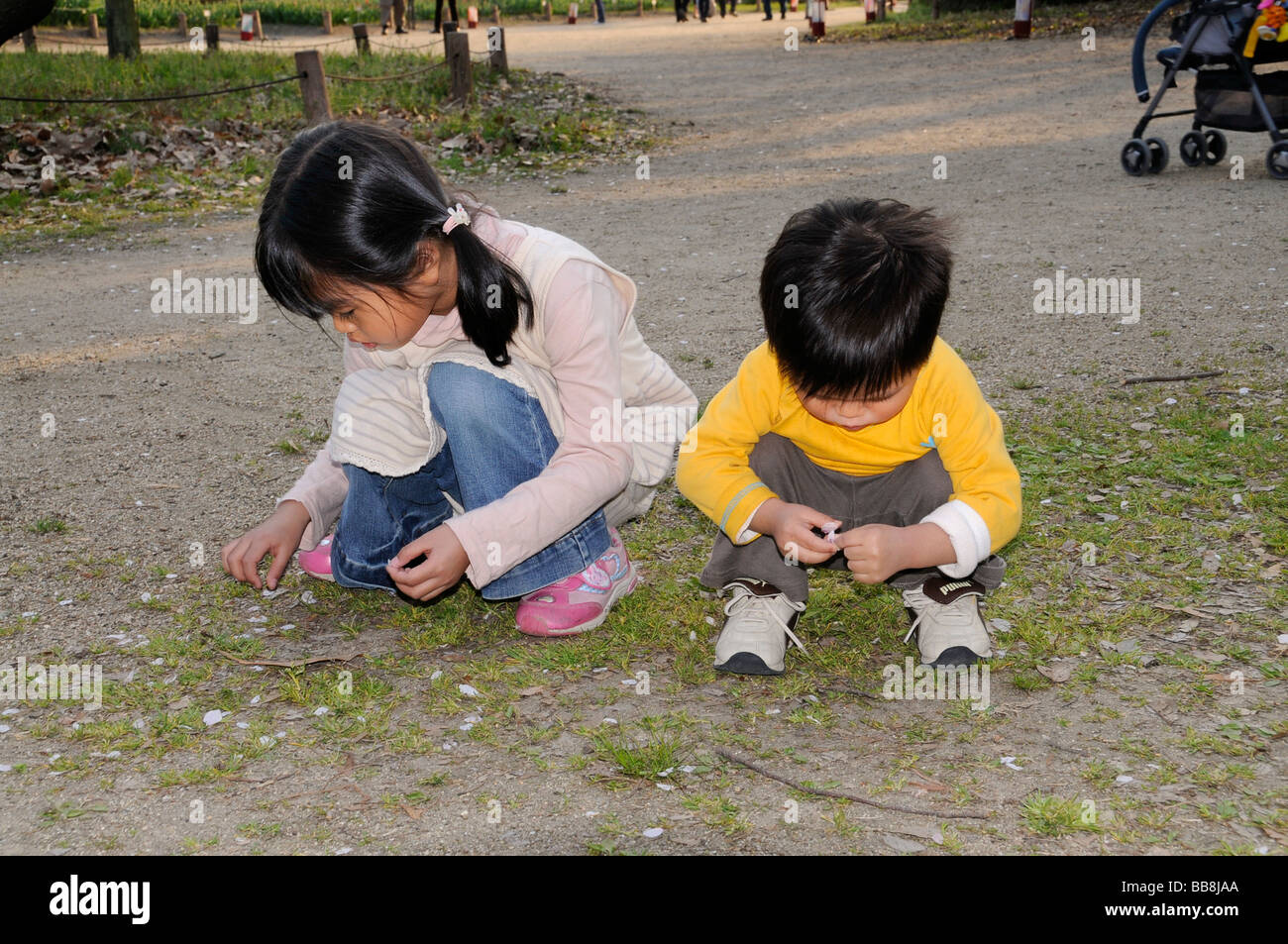 Bambini giapponesi caduti di raccolta di fiori di ciliegio petali dopo il Cherry Blossom Festival, Kyoto, Giappone, Asia Foto Stock