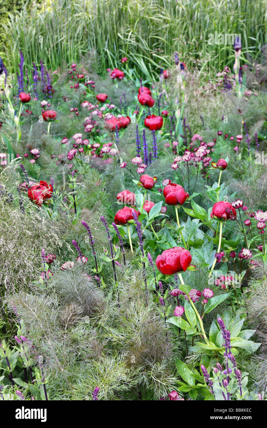 Laurent Perrier Garden Chelsea 2009 designer Luciano Giubbilei Foto Stock