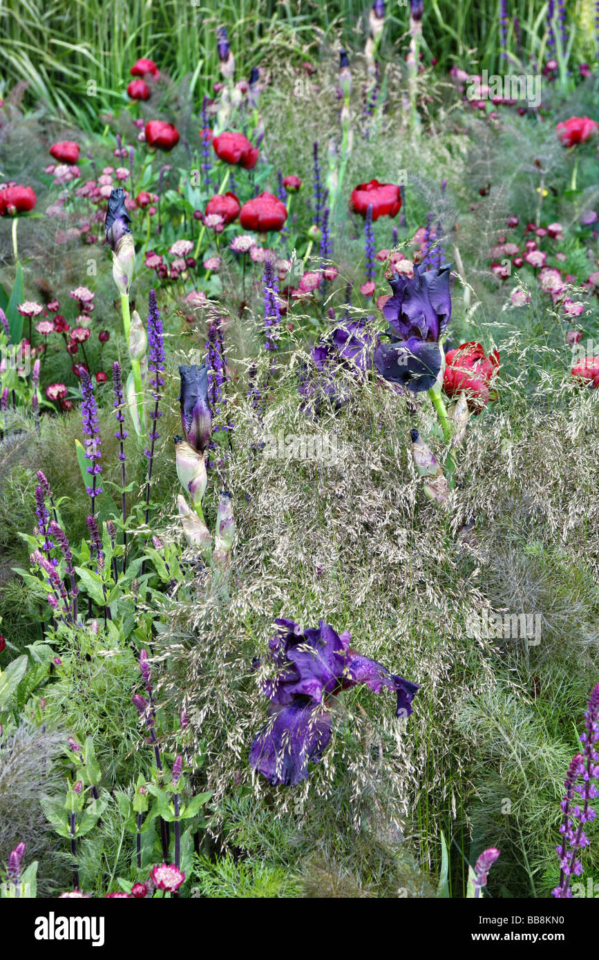 Laurent Perrier Garden Chelsea 2009 designer Luciano Giubbilei Foto Stock