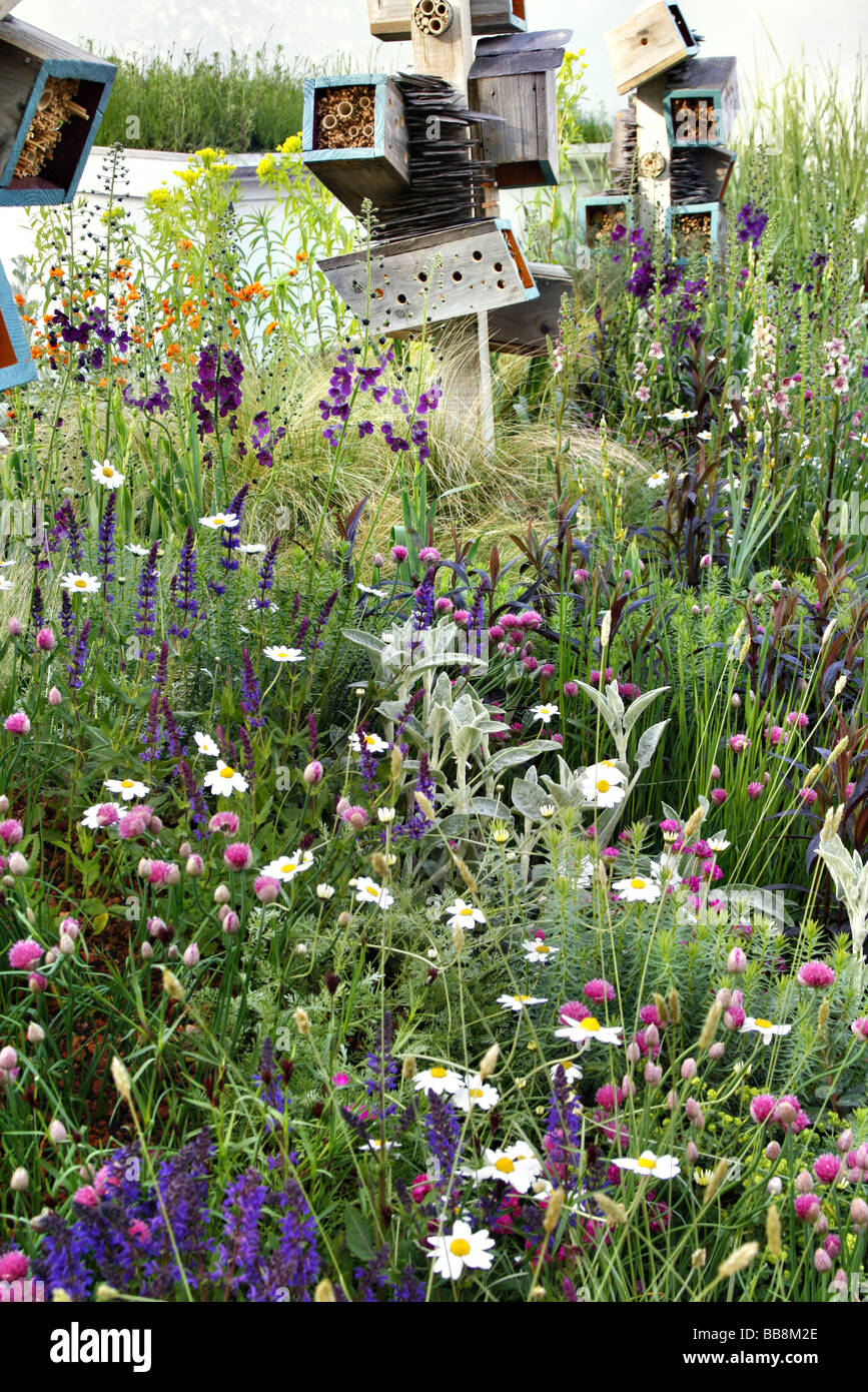 La futura natura Garden Chelsea 2009 designer Adrian Hallam Chris Arrowsmith e Nigel Dunnett Foto Stock
