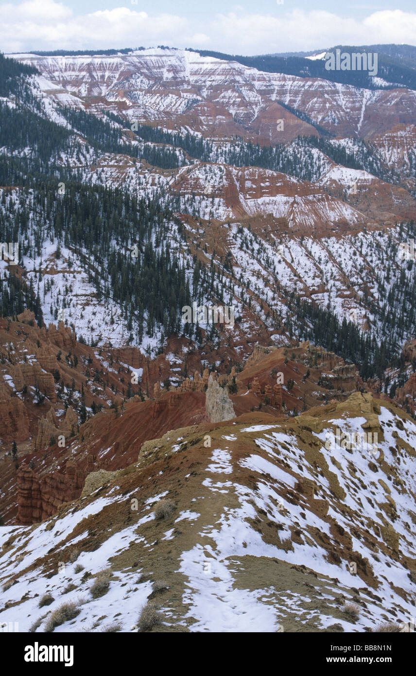 Paesaggi innevati a Cedar Breaks National Monument nello Utah Stati Uniti d'America Foto Stock
