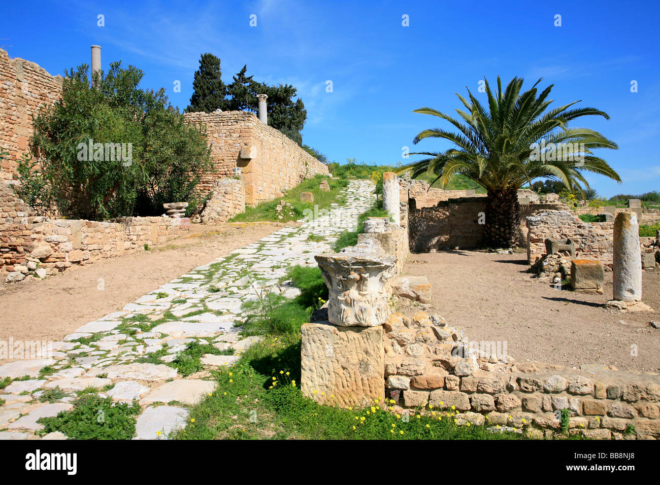 I resti di una antica villa romana di Cartagine, Tunisia Foto Stock