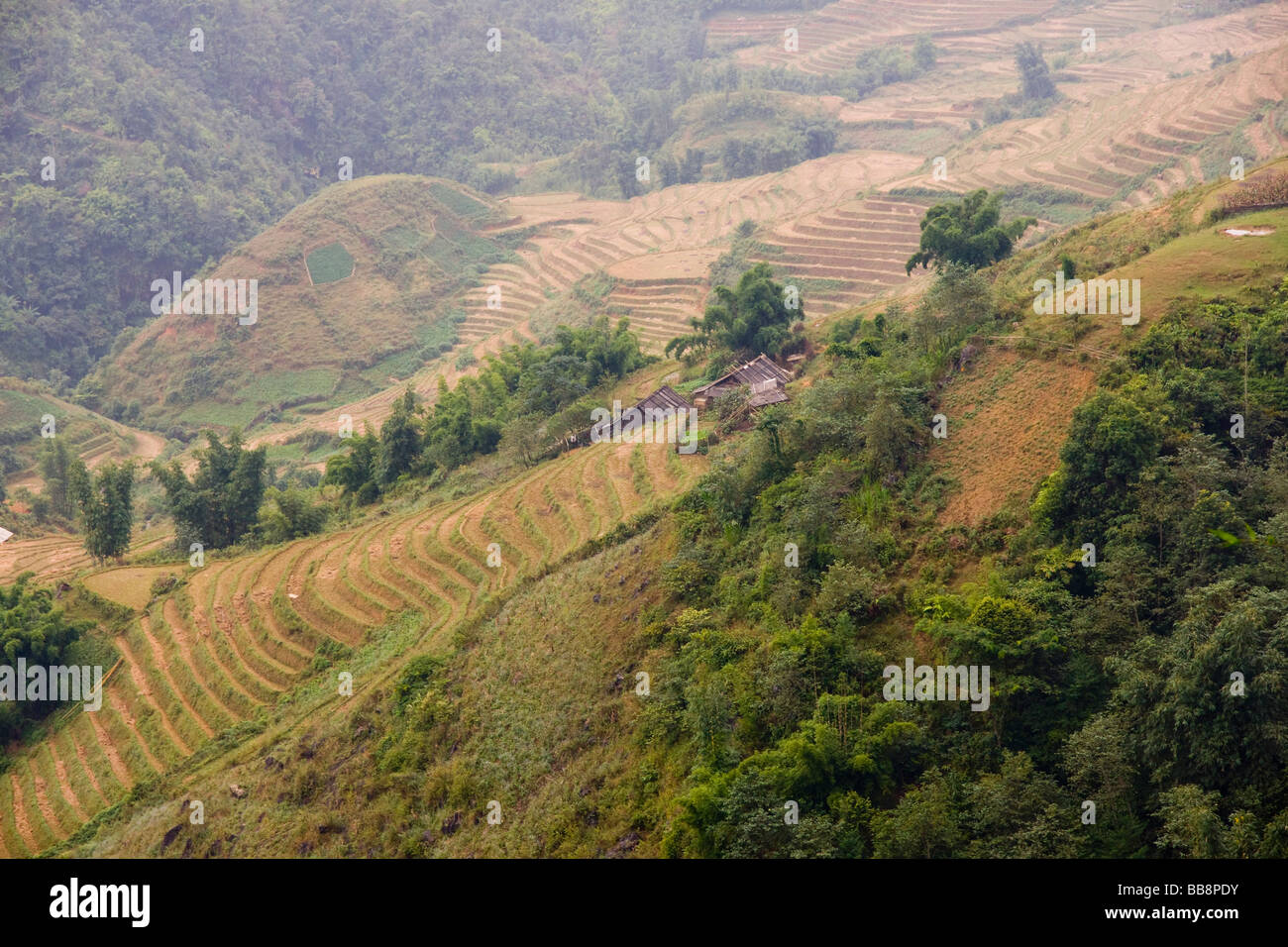 Sapa, Lao Cai provincia nel nord del Vietnam. Risaie. Foto Stock