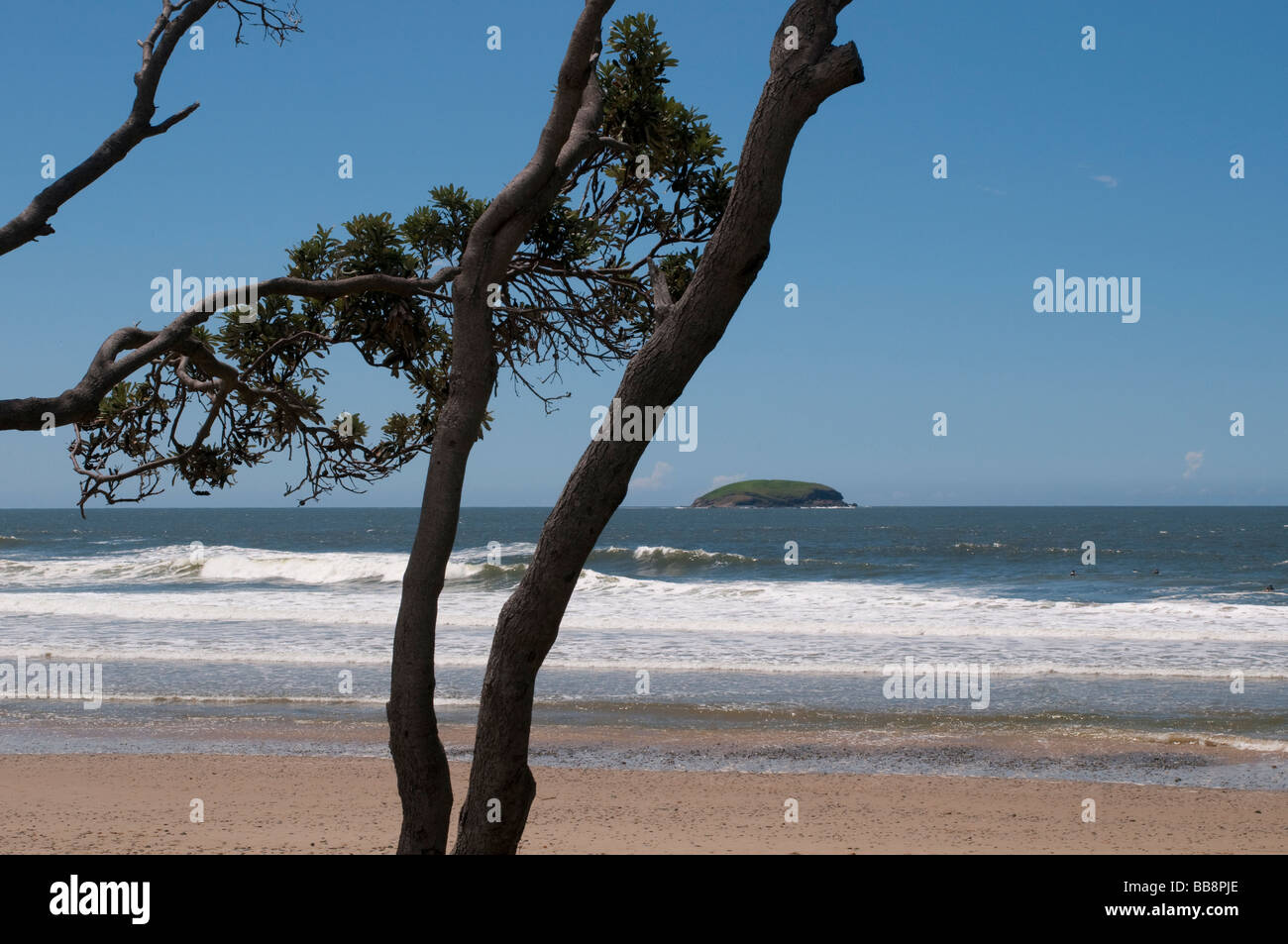 Emerald Beach Coffs Harbour regione NSW Australia Foto Stock