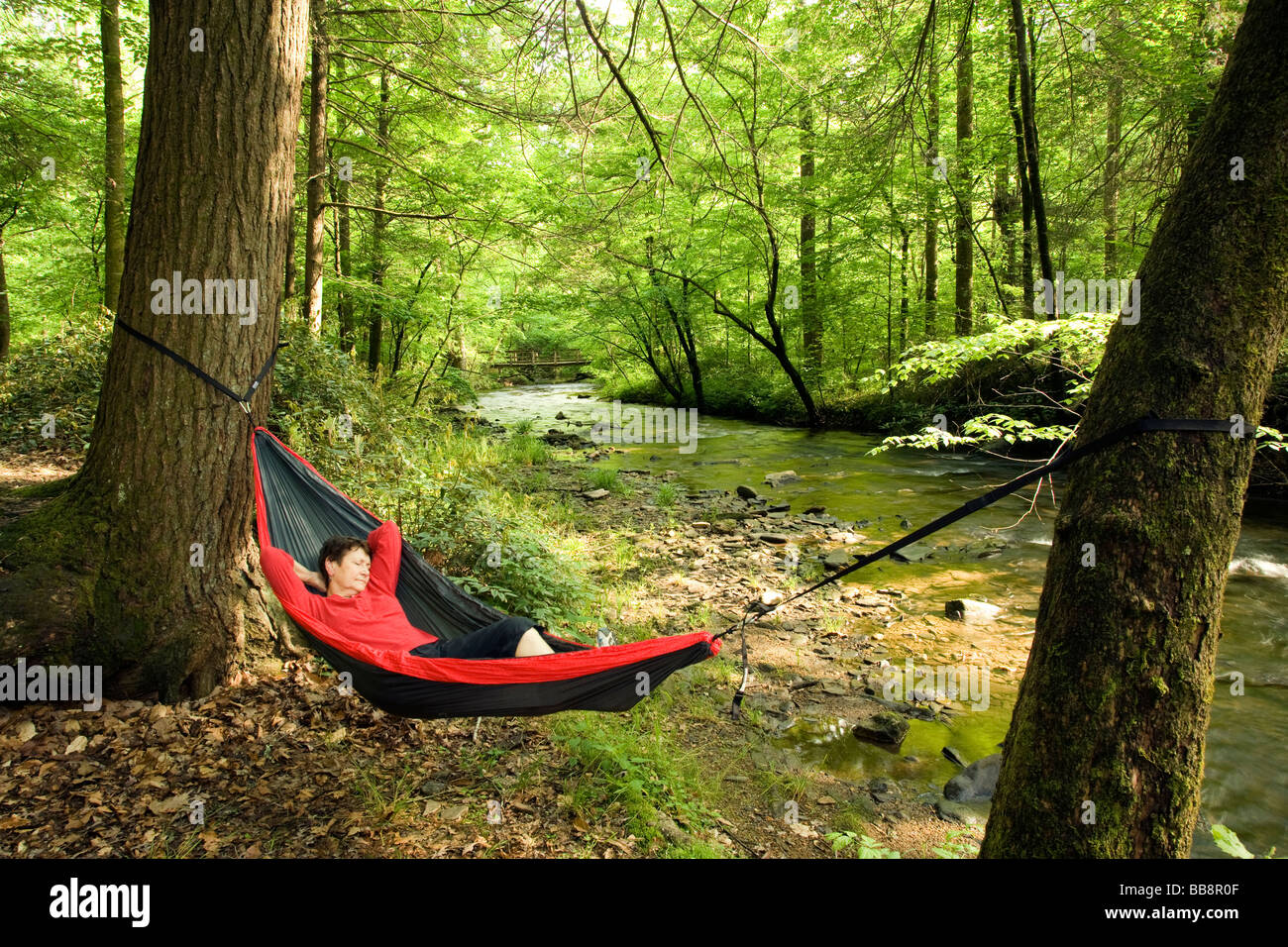 Donna relax in amaca dal fiume - Pisgah National Forest - Brevard, Carolina del Nord Foto Stock