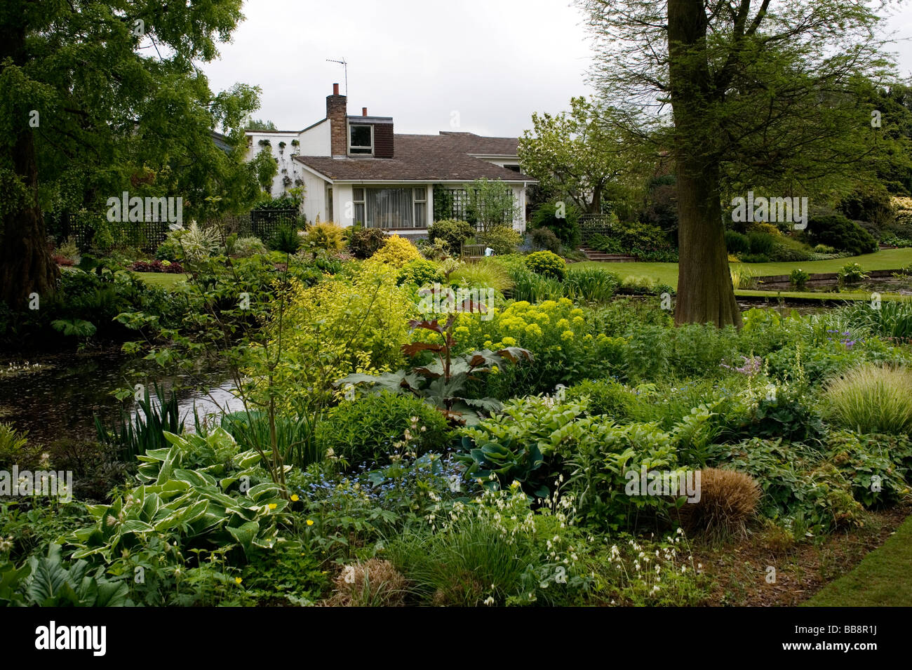 Il Beth Chatto Gardens Elmstead mercato vicino a Colchester Essex COPYRIGHT FOTOGRAFIA DI BRIAN HARRIS 2009 07808 579804 Foto Stock