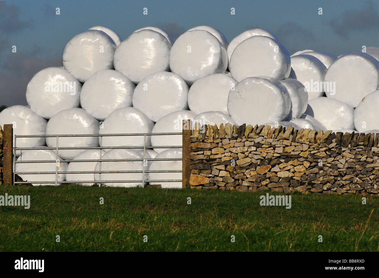 In politene bails fieno Foto Stock