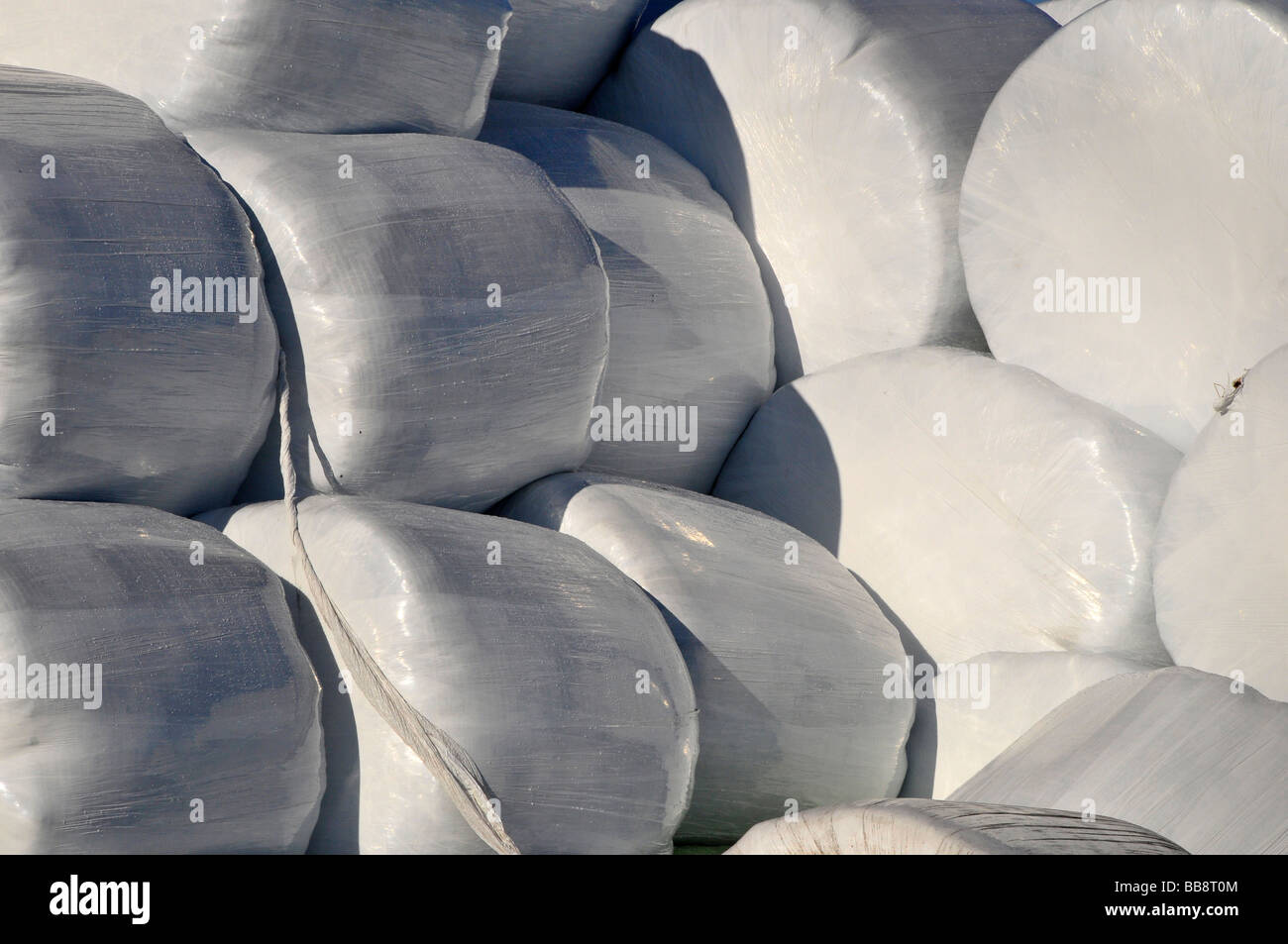 In politene bails fieno Foto Stock