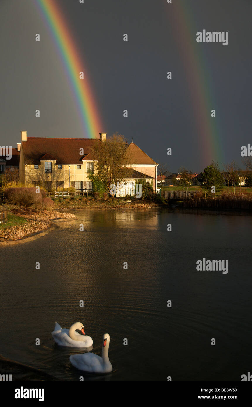 Drammatica cielo nero con doppio arcobaleno con due cigni in primo piano la Francia settentrionale Foto Stock