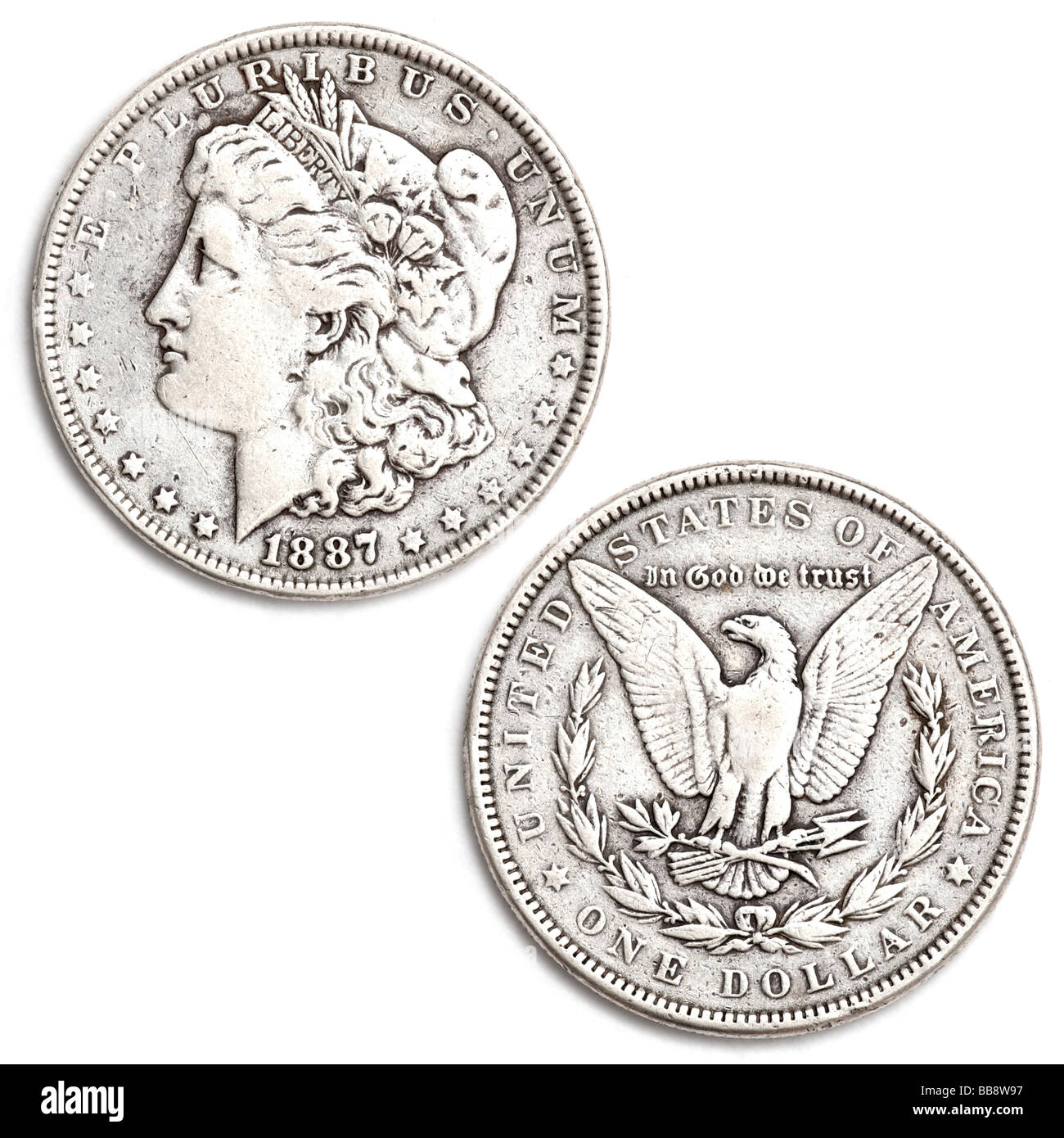 'Silver Dollar' Foto Stock