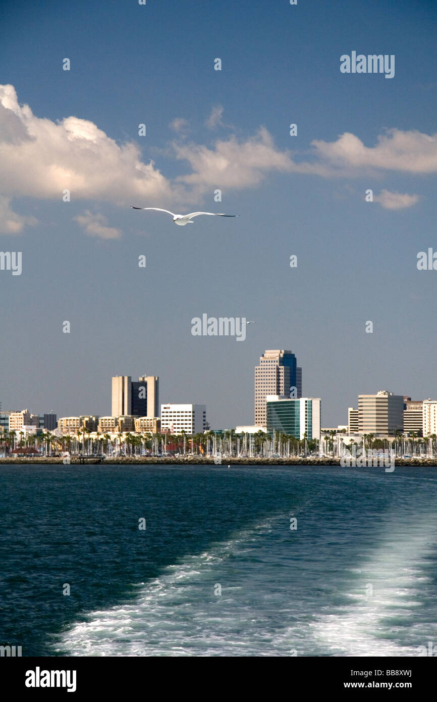 Skyline di Long Beach California USA Foto Stock