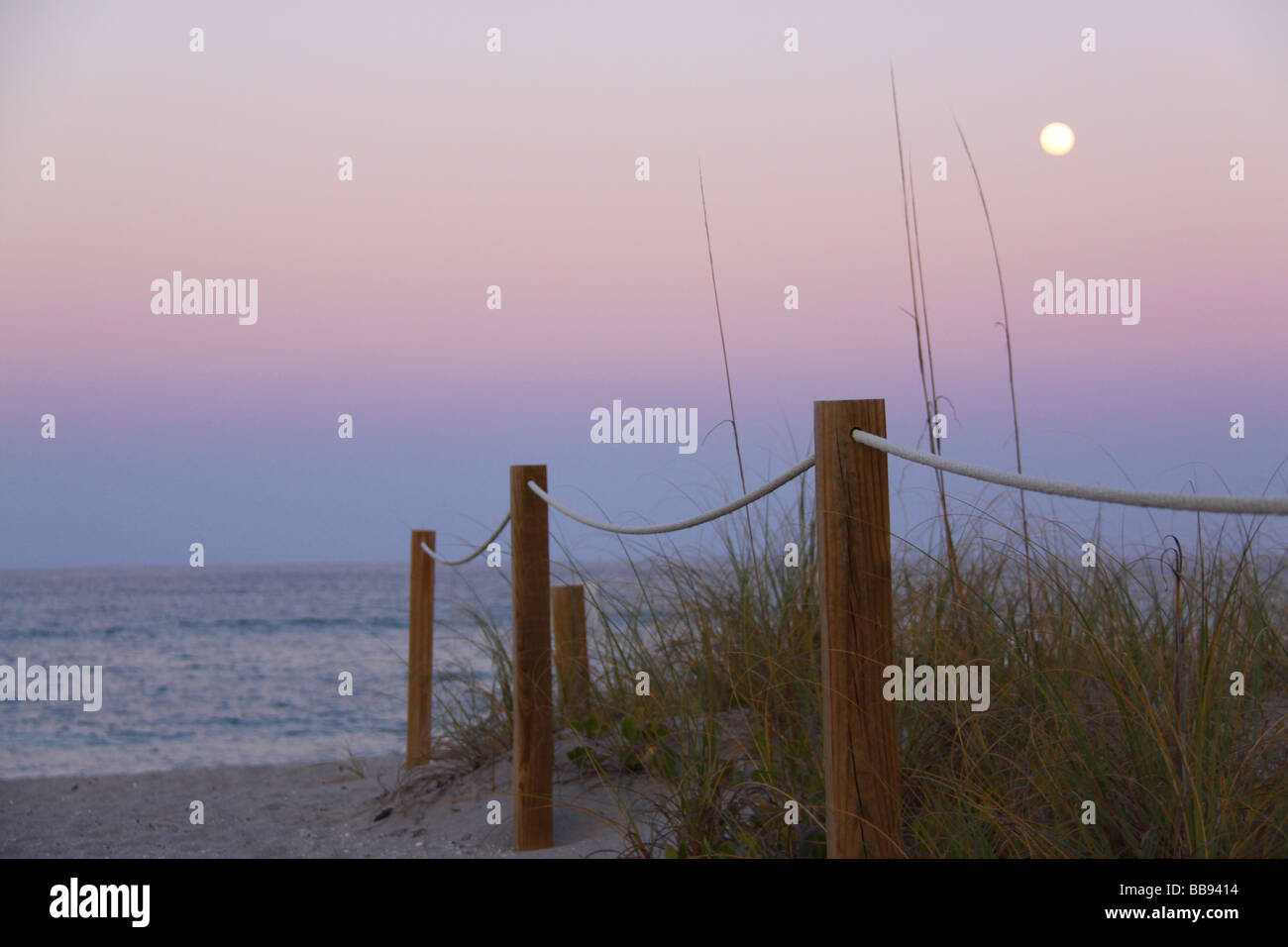 Al chiaro di luna sulla spiaggia in Florida. Foto Stock